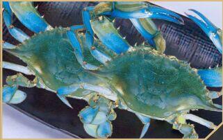 D13. Stuffed Green Pepper W. Seafood (3)